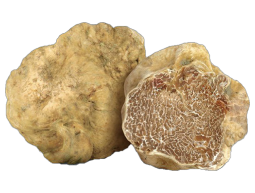 épicerie fine à la truffe à Le Thor